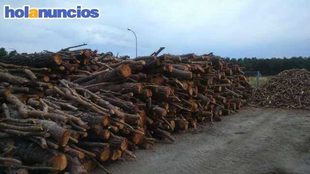 Leña de madera de encina - Ribatrans - Grupo Ordoñez